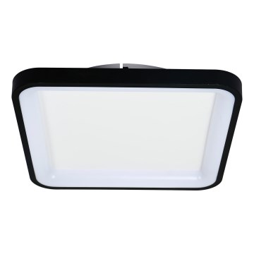 Brilagi - Plafonnier LED dimmable FALCON SLIM LED/50W/230V 3000-6500K 50x50 cm noir + télécommande