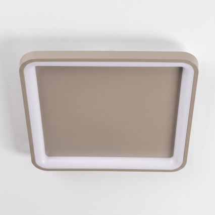 BRILAGI - Plafonnier LED dimmable FALCON SLIM LED/50W/230V 3000-6500K 50x50 cm beige + télécommande