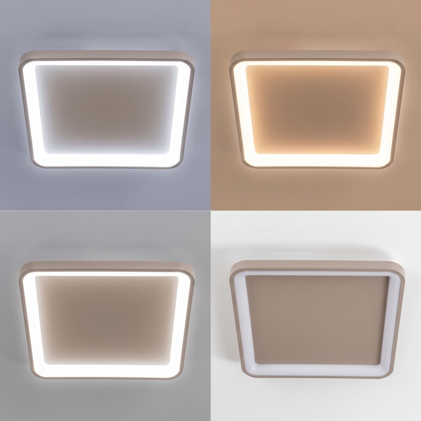 BRILAGI - Plafonnier LED dimmable FALCON SLIM LED/50W/230V 3000-6500K 50x50 cm beige + télécommande
