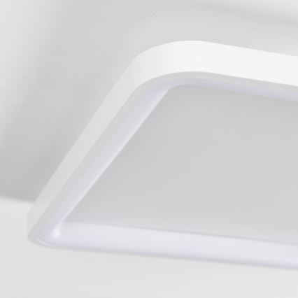Brilagi - Plafonnier LED dimmable FALCON SLIM LED/50W/230V 3000-6500K 50x50 cm blanc + télécommande