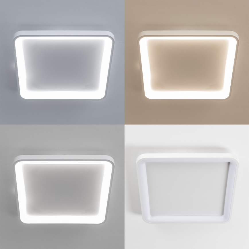 Brilagi - Plafonnier LED dimmable FALCON SLIM LED/50W/230V 3000-6500K 50x50 cm blanc + télécommande