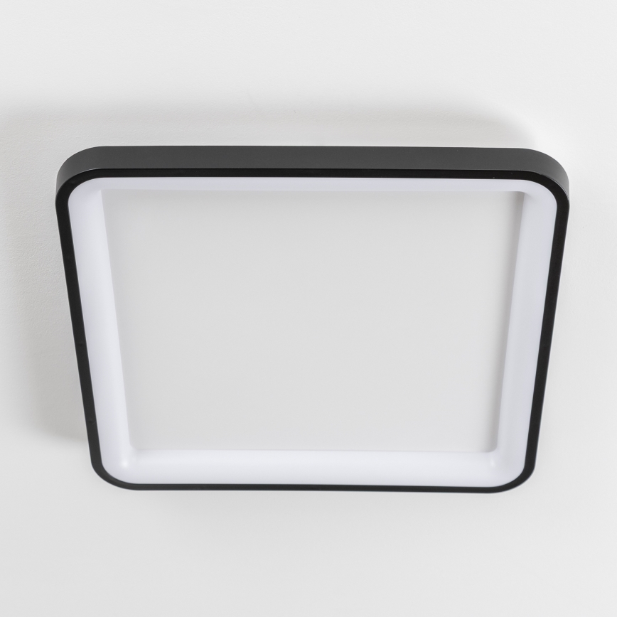 Brilagi - Plafonnier LED dimmable FALCON SLIM LED/50W/230V 3000-6500K 50x50 cm noir + télécommande