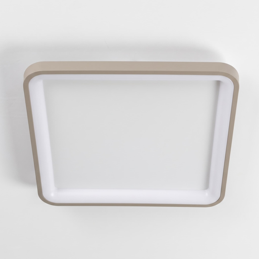 BRILAGI - Plafonnier LED dimmable FALCON SLIM LED/50W/230V 3000-6500K 50x50 cm blanc/beige + télécommande