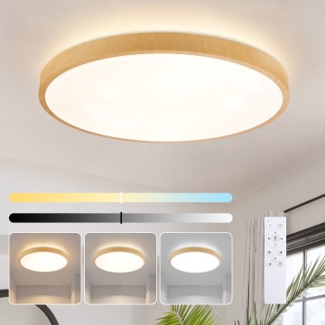 Brilagi - Plafonnier LED dimmable GLASS POOL DOUBLE LED/80W/230V 3000-6000K 60 cm décor bois + télécommande