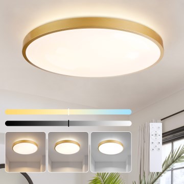 Brilagi - Plafonnier LED dimmable GLASS POOL DOUBLE LED/80W/230V 3000-6000K 60 cm doré + télécommande