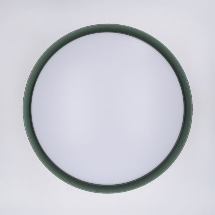 Brilagi - Plafonnier LED à intensité variable LUCIA LED/60W/230V 3000-6500K Ø 59 cm vert + télécommande