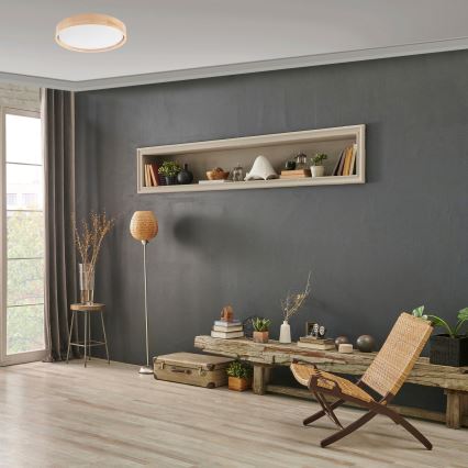 Brilagi - Plafonnier LED dimmable MANAROLA LED/24W/230V Ø 42 cm 3000-6500K + télécommande