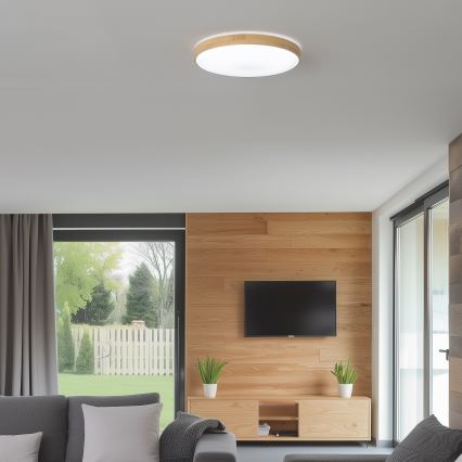 Brilagi - Plafonnier LED dimmable PINE LED/24W/230V Ø 42 cm 3000-6500K + télécommande