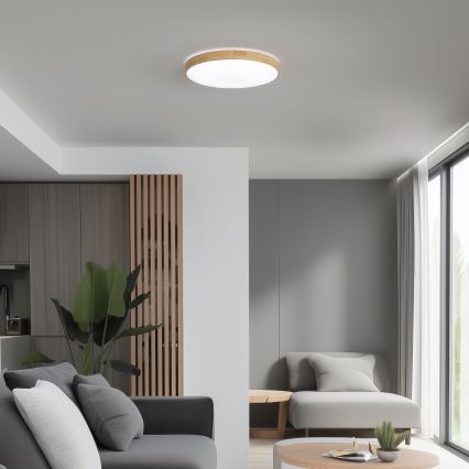 Brilagi - Plafonnier LED dimmable PINE LED/24W/230V Ø 42 cm 3000-6500K + télécommande