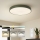 Brilagi - Plafonnier LED dimmable POOL LED/60W/230V 3000-6000K Ø 50 cm vert + télécommande