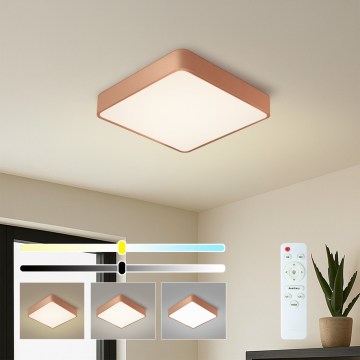 BRILAGI - Plafonnier LED dimmable POOL SQUARE LED/48W/230V 3000-6000K 50x50 cm bronze + télécommande