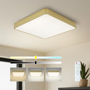 Brilagi - Plafonnier LED dimmable POOL SQUARE LED/48W/230V 3000-6000K 50x50 cm doré + télécommande