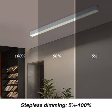 Brilagi - Plafonnier LED dimmable SLEEKLINE SMART LED/40W/230V 3000-6000K Wi‑Fi Tuya argenté + télécommande