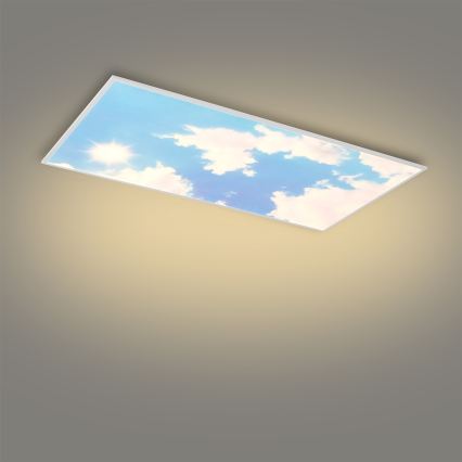 Brilagi - Plafonnier LED dimmable SLIMFRAME SKY LED/80W/230V 120x60 cm 3000-6000K argenté/bleu + télécommande
