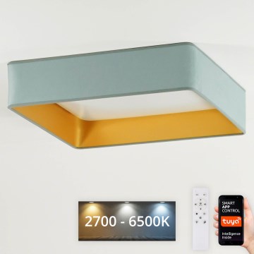Brilagi - Plafonnier LED dimmable VELVET SQUARE SMART LED/36W/230V 60x60 cm 2700-6500K Wi-Fi Tuya + télécommande menthe