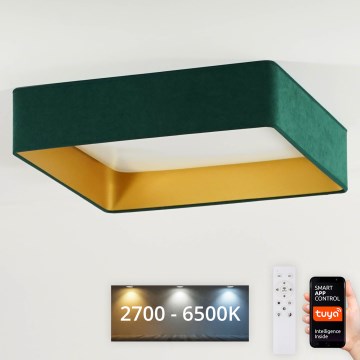Brilagi - Plafonnier LED dimmable VELVET SQUARE SMART LED/36W/230V 60x60 cm 2700-6500K Wi-Fi Tuya + télécommande vert