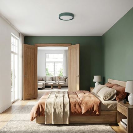 Brilagi - Plafonnier LED MATTEO LED/24W/230V Ø 31 cm vert