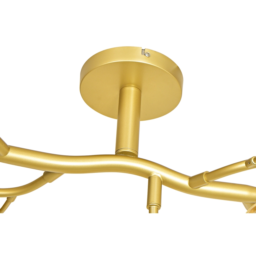 Brilagi - Plafonnier LED MISTEL 15xG9/3W/230V doré/blanc