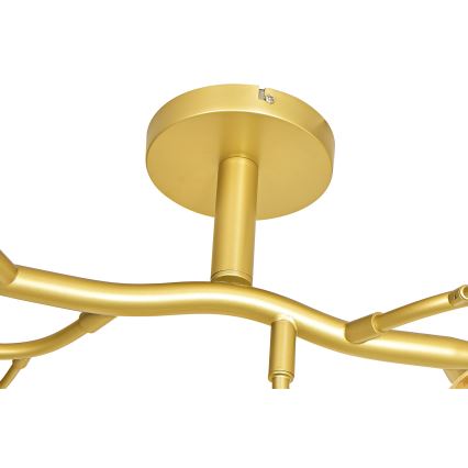 Brilagi - Plafonnier LED MISTEL 15xG9/3W/230V doré