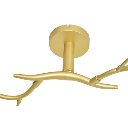Brilagi - Plafonnier LED MISTEL 6xG9/3W/230V doré