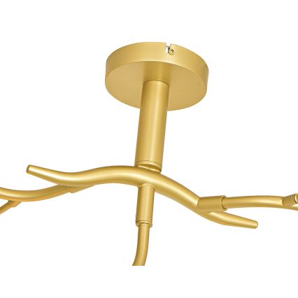 Brilagi - Plafonnier LED MISTEL 9xG9/3W/230V doré