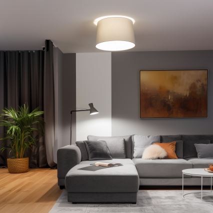 Brilagi - Plafonnier LED monté en surface CERIA 1x E27/40W/230V Ø 45 cm gris