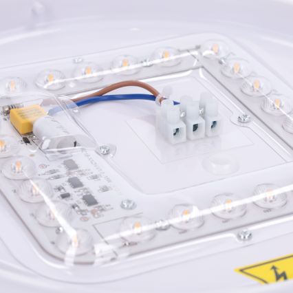 BRILAGI - Plafonnier LED PILANA LED/24W/230V chêne/doré Ø 30 cm