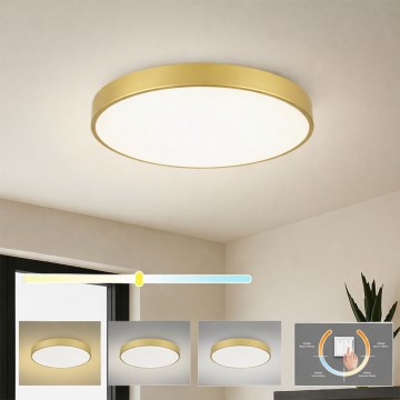 Brilagi - Plafonnier LED POOL LED/60W/230V 3000/4000/6000K Ø 60 cm doré