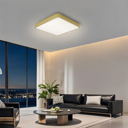 Brilagi - Plafonnier LED POOL SQUARE LED/36W/230V 3000/4000/6000K 40x40 cm doré