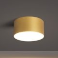 BRILAGI - Plafonnier LED pour salle de bains FORIS LED/14W/230V Ø 12 cm doré IP44