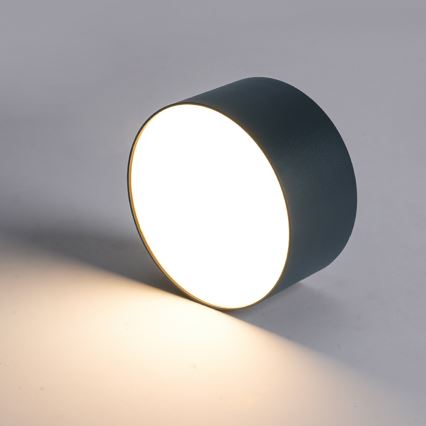 Brilagi - Plafonnier LED pour salle de bains FORIS LED/20W/230V Ø 15 cm anthracite IP44
