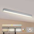 Brilagi - Plafonnier LED pour salle de bains SLEEKLINE LED/40W/230V 3000/4500/6000K argenté IP44