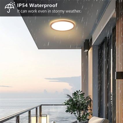 Brilagi - Plafonnier de salle de bains ULTRA SLIM LED/24W/230V Ø 42 cm or rose IP54