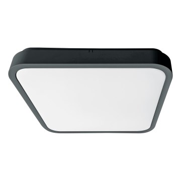 Brilagi - Plafonnier LED pour salle de bains ZENNA LED/24W/230V 34,5x34,5 cm IP44 anthracite