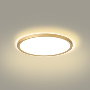 Brilagi - Plafonnier LED ultra-plat pour salle de bains / 18W / 230V Ø 30 cm doré IP54