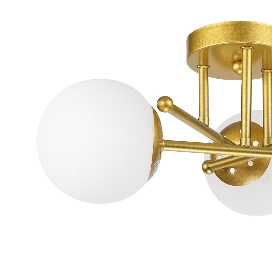 Brilagi - Plafonnier MALIVA 3xE14/15W/230V doré/blanc