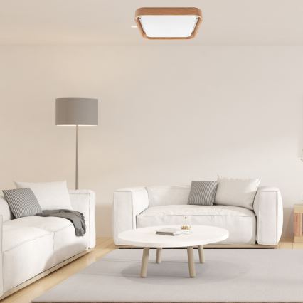Brilagi - Plafonnier MANAROLA CUBIC LED/24W/230V 3000-6500K chêne + Télécommande