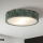 Brilagi - Plafonnier PINO 2xE27/15W/230V pin/vert Ø 37,5 cm