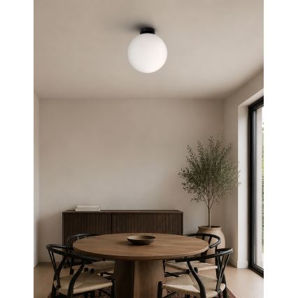 BRILAGI - Plafonnier POLOS 1xE27/40W/230V Ø 30 cm noir