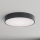 Brilagi - Plafonnier pour salle de bains CLARE 4xE27/24W/230V, diamètre 50 cm, anthracite, IP54