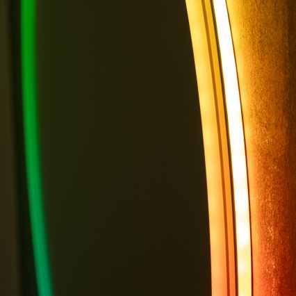 Brilagi - Specchio riscaldato da bagno dimmerabile LED RGBW con retroilluminazione AVA PRO LED/18W/230V Ø 60 cm 3000/4000/6500K IP44 CRI 90