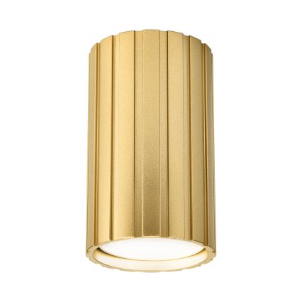 Brilagi - Spot CRISPINA 1xGU10/10W/230V 10 cm doré