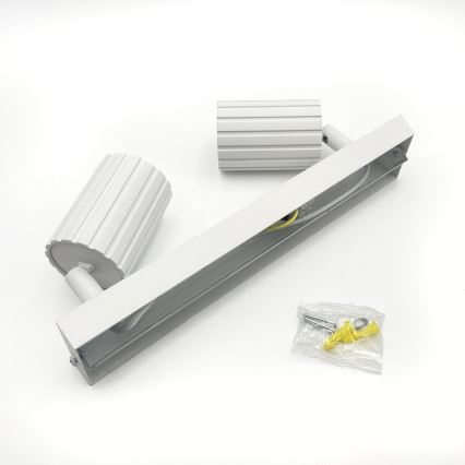 Brilagi - Spot CRISPINA 2xGU10/10W/230V blanc