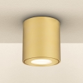 Brilagi - Spot de salle de bains MIA 1xGU10/30W/230V 84x80 mm doré IP54