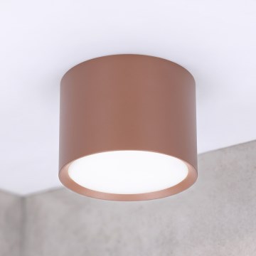BRILAGI - Spot d'éclairage SMOOTH 1xGX53/15W/230V 60x82 mm marron