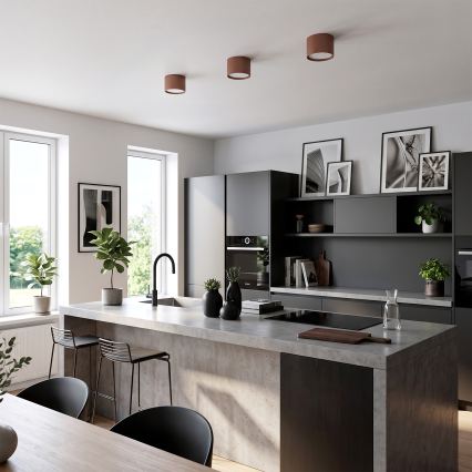 BRILAGI - Spot d'éclairage SMOOTH 1xGX53/15W/230V 60x82 mm marron