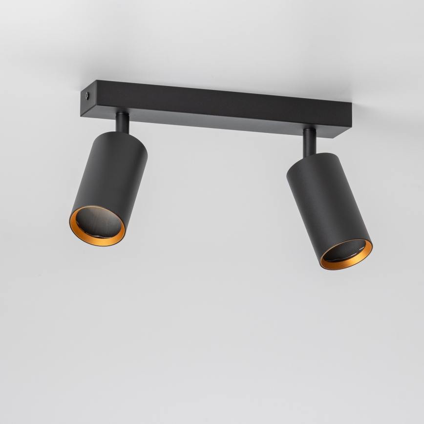 Brilagi - Spot LED dimmable SELE 2xGU10/6,5W/230V 2700-6500K noir/doré