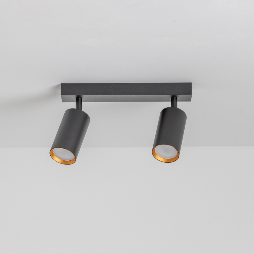 Brilagi - Spot LED dimmable SELE 2xGU10/6,5W/230V 2700-6500K noir/doré
