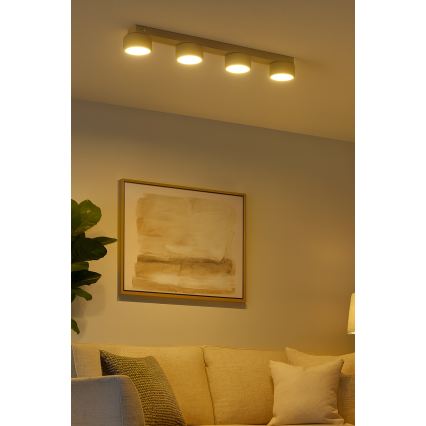 Brilagi - Spot LED RGB+CCT dimmable MONO 4xGX53/14W/230V 2700-6500K Wi-Fi Tuya beige