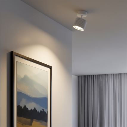 BRILAGI - Spot LED RGB+CCT dimmable STRIPY 1xGX53/14W/230V pr. 82 mm 2700–6500K Wi-Fi Tuya blanc